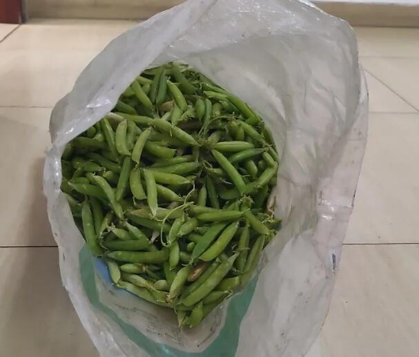 20260123150417.jpg 20260123150417.jpg